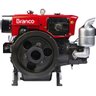 Motor Estacionário 17,4cv Diesel Partida Elétrica Branco - 2