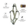 Coleira Peitoral E Guia Com Trava - Chevron - Tam G - 3