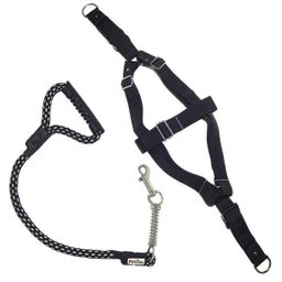 Peitoral E Guia Para Cachorros - Tamanho Grande - Cor Preto - 1