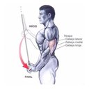 Ver imagem 2 de Puxador Curvo Curto Com Giro 50 Cm Musculação Academia