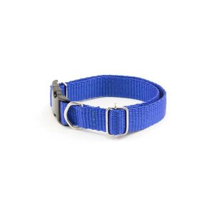 Coleira cachorro Smooty Pet M Lisa:Azul