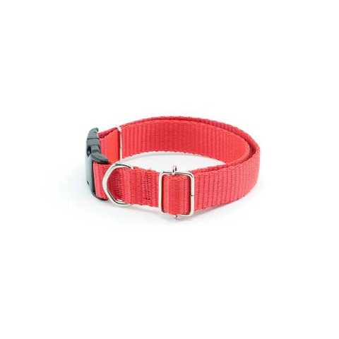 Coleira cachorro Smooty Pet M Lisa:Vermelho