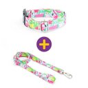 Ver imagem 1 de Coleira e Guia Smooty Pet Flamingo M kit