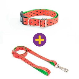 Coleira e Guia Smooty Pet Melancia P kit - 1
