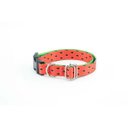 Ver imagem 2 de Coleira e Guia Smooty Pet Melancia P kit