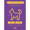 Ver imagem 4 de Coleira e Guia Smooty Pet Melancia M Kit