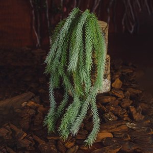 Pendente Toque Real Grass 76 cm| Jardim Vertical Formosinha
