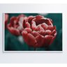 QUADRO TULIPA VERMELHA Decor&Quadros NAT084 - 6