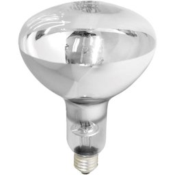 Lâmpada de Secagem Infravermelha 250w E-27 Brasfort 220v - 1