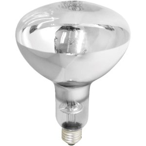 Lâmpada de Secagem Infravermelha 250w E-27 Brasfort 220v
