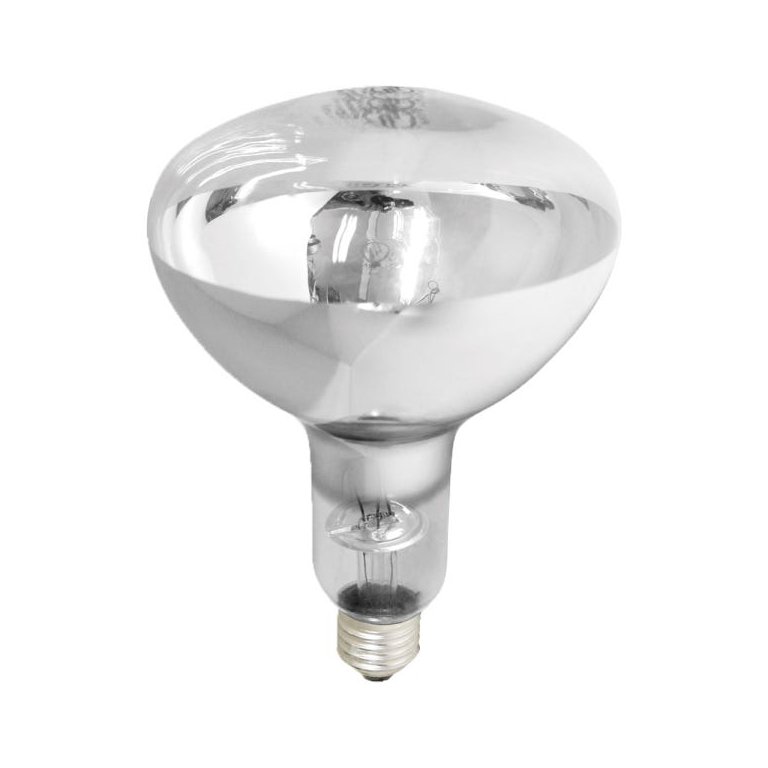 Lâmpada de Secagem Infravermelha 250w E-27 Brasfort 220v