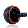Roda Para Treino Abdominal / Ombro / Costa / Triceps / Lombar - 2