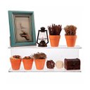 Ver imagem 2 de Prateleira Organizador Flutuante Acrilico Decoração 48x15x10