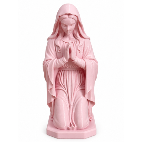 Virgem Maria Ajoelhada Rezando Imagem Religiosa:Rosa