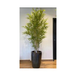 Kit 4 Planta Artificial Arvore Bambu Da Sorte 1.50cm - 5