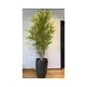 Kit 4 Planta Artificial Arvore Bambu Da Sorte 1.50cm - 5
