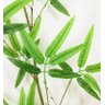 Kit 4 Planta Artificial Arvore Bambu Da Sorte 1.50cm - 3