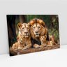 Quadro Decorativo Retrato Família Leão Leoa com Dois Filhotes Sala Quarto Casa Escritório - 2