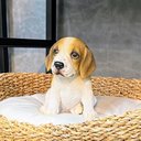 Ver imagem 4 de Escultura de Cachorro Beagle Filhote Decorativo