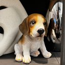 Ver imagem 2 de Escultura de Cachorro Beagle Filhote Decorativo