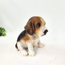 Ver imagem 6 de Escultura de Cachorro Beagle Filhote Decorativo