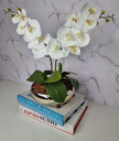 Ver imagem 2 de Arranjo Com 2 Orquídeas Branca Vaso Dourado 22cm