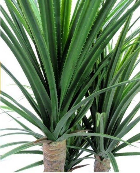 Planta Artificial Pandanus 160cm - 3