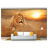 Papel De Parede Animais Leão Deitado Paisagem Anm230 - 1