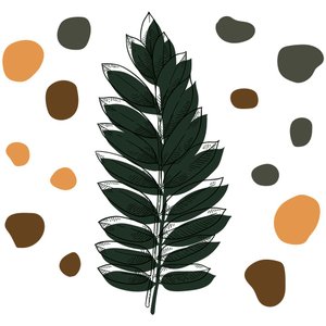 Adesivo de Parede Decorativo Botânico Folhas Minimalistas