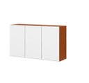 Ver imagem 1 de Armário Suspenso 120cm 3 Portas Luana/clara - Cinamomo/branco Aramóveis