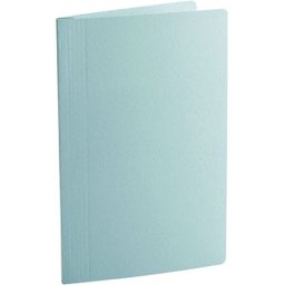 Pasta Classificador Rapido Papel AZUL Delloclean - 3