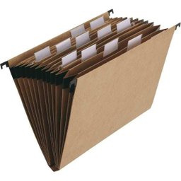 Pasta Suspensa Dellokraft Sanfonada 12 Div. - 1