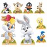 Kit Decoração Festa Totem Display 9 peças Baby Looney Tunes - Painel 100x70 - 2
