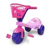 Triciclo Infantil com Pedal Fadinha Rosa Xalingo Brinquedos - 1