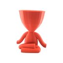 Ver imagem 1 de Yoga - Vaso Cactos ou Suculentas:vermelho