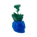 Ver imagem 1 de Caveira Geometrica - Vaso Cactos ou Suculentas:azul