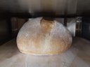 Ver imagem 7 de Forno de Convecção para Pães 3 Pedras Modelo Wcvp-335 Mini Turbo Com Vapor Wictory