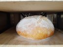Ver imagem 6 de Forno de Convecção para Pães 3 Pedras Modelo Wcvp-335 Mini Turbo Com Vapor Wictory