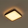 Plafon LED 12W Branco Quente Metal Acrílico Amadeirado 28cm St1937 - 4