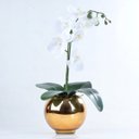Ver imagem 1 de Arranjo de Orquídea Artificial Branca em Aquário Dourado Taty