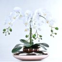 Ver imagem 1 de Arranjo de Orquídea Artificial Branca 4 Hastes em Terrário Rose