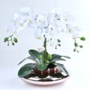 Ver imagem 2 de Arranjo de Orquídea Artificial Branca 4 Hastes em Terrário Rose
