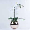Ver imagem 1 de Arranjo de Orquídea Artificial Branca em Aquário Rose Gold Bella
