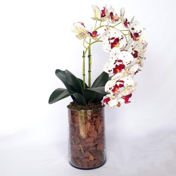 Arranjo de Orquídea Artificial Tigre em Vaso Tubo Gaia