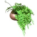 Ver imagem 1 de Arranjo de Samambaia Artificial Pendente em Vaso Cobre