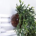 Ver imagem 2 de Arranjo Pendente de Chifre de Veado Artificial em Vaso Aquário