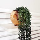 Ver imagem 2 de Arranjo de Pendente do Rosário Artificial em Vaso Dourado