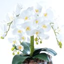 Ver imagem 3 de Arranjo de Orquídea Artificial Branca 6 Hastes Victória