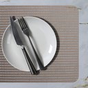 Ver imagem 1 de 8 Jogo Americano Pvc Caramelo Antiderrapante 29x44 Id Decor