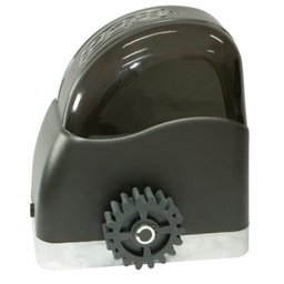 Motor Portão Deslizante Rcg Al 300kg 1/5Cv 220V - 1